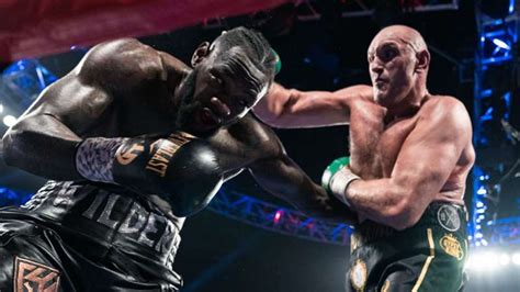 fury and wilder fight
